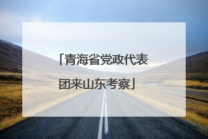 青海省党政代表团来山东考察