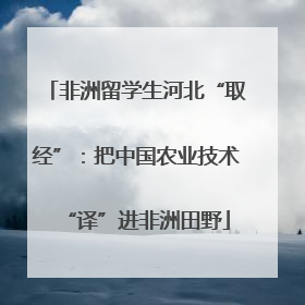 非洲留学生河北“取经”：把中国农业技术“译”进非洲田野