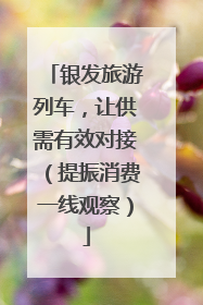 银发旅游列车，让供需有效对接（提振消费一线观察）