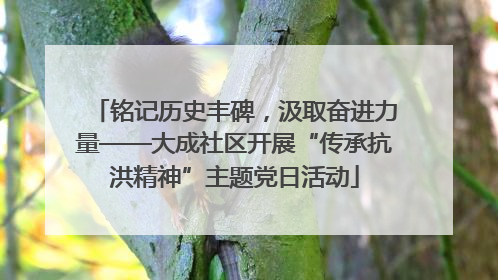 铭记历史丰碑，汲取奋进力量——大成社区开展“传承抗洪精神”主题党日活动