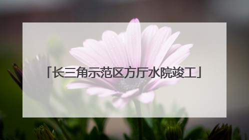 长三角示范区方厅水院竣工