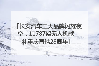 长安汽车三大品牌闪耀夜空，11787架无人机献礼重庆直辖28周年