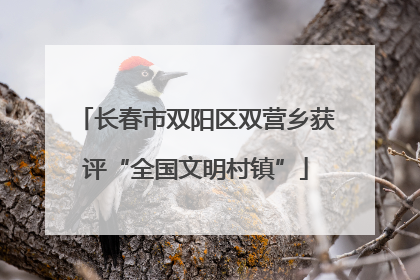 长春市双阳区双营乡获评“全国文明村镇”