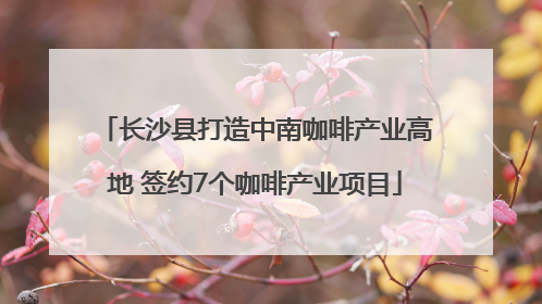 长沙县打造中南咖啡产业高地 签约7个咖啡产业项目