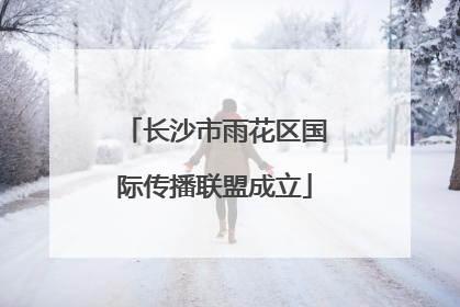 长沙市雨花区国际传播联盟成立