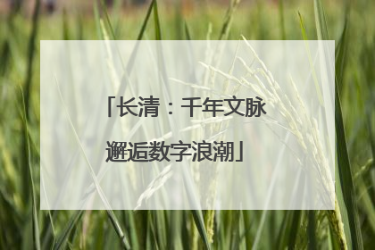 长清：千年文脉邂逅数字浪潮