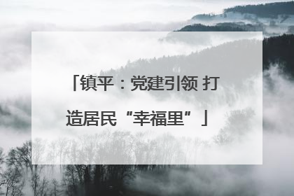 镇平：党建引领 打造居民“幸福里”
