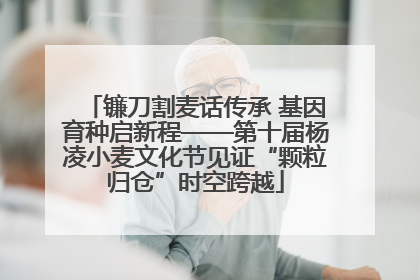 镰刀割麦话传承 基因育种启新程——第十届杨凌小麦文化节见证“颗粒归仓”时空跨越