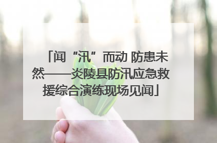 闻“汛”而动 防患未然——炎陵县防汛应急救援综合演练现场见闻