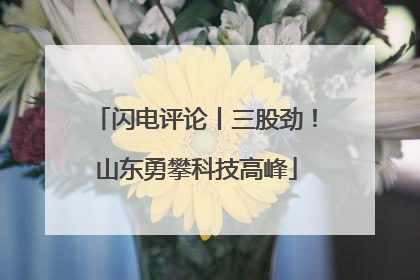 闪电评论丨三股劲！山东勇攀科技高峰