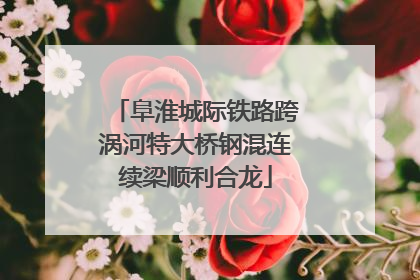 阜淮城际铁路跨涡河特大桥钢混连续梁顺利合龙