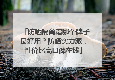 防晒隔离霜哪个牌子最好用？防晒实力派，性价比高口碑在线