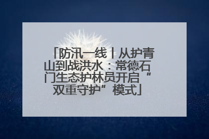 防汛一线丨从护青山到战洪水：常德石门生态护林员开启“双重守护”模式