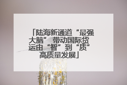 陆海新通道“最强大脑” 带动国际货运由“智”到“质”高质量发展