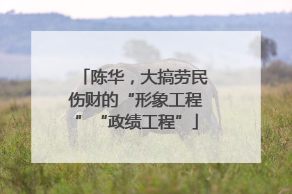 陈华，大搞劳民伤财的“形象工程”“政绩工程”