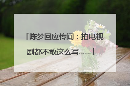 陈梦回应传闻：拍电视剧都不敢这么写……