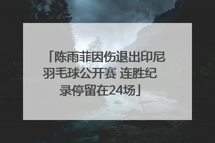 陈雨菲因伤退出印尼羽毛球公开赛 连胜纪录停留在24场