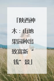 陕西神木：山地果园种出致富新“钱”景