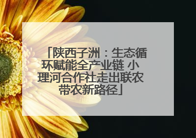 陕西子洲：生态循环赋能全产业链 小理河合作社走出联农带农新路径