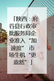 陕西：府谷县行政审批服务局企业准入“加速度” 市场生机“更盎然”