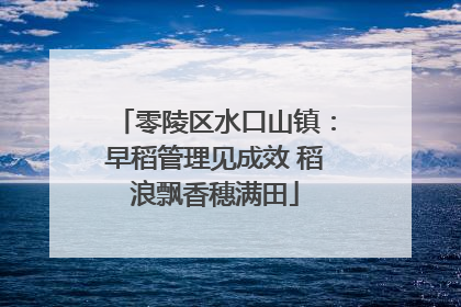 零陵区水口山镇：早稻管理见成效 稻浪飘香穗满田