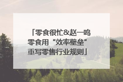 零食很忙&赵一鸣零食用“效率壁垒”重写零售行业规则