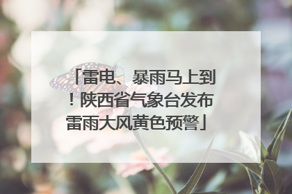 雷电、暴雨马上到！陕西省气象台发布雷雨大风黄色预警