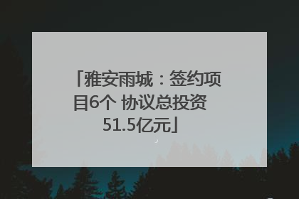 雅安雨城：签约项目6个 协议总投资51.5亿元