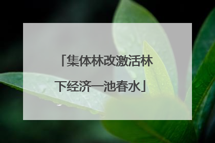 集体林改激活林下经济一池春水