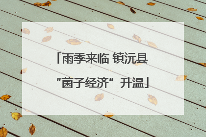 雨季来临 镇沅县“菌子经济”升温