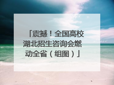 震撼！全国高校湖北招生咨询会燃动全省（组图）