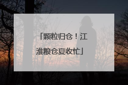 颗粒归仓！江淮粮仓夏收忙