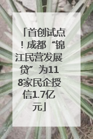 首创试点！成都“锦江民营发展贷”为118家民企授信1.7亿元