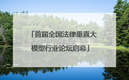 首届全国法律垂直大模型行业论坛启幕