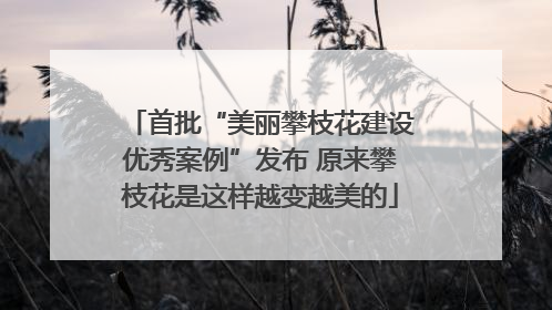 首批“美丽攀枝花建设优秀案例”发布 原来攀枝花是这样越变越美的