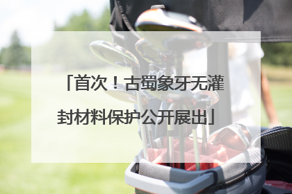 首次！古蜀象牙无灌封材料保护公开展出