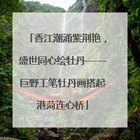 香江潮涌紫荆艳，盛世同心绘牡丹——巨野工笔牡丹画搭起港菏连心桥