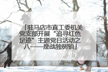 驻马店市直工委机关党支部开展“追寻红色足迹”主题党日活动之八——鏖战独树镇