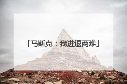 马斯克：我进退两难