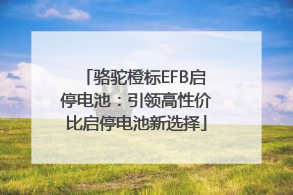 骆驼橙标EFB启停电池：引领高性价比启停电池新选择
