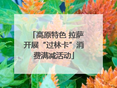 高原特色 拉萨开展“过林卡”消费满减活动