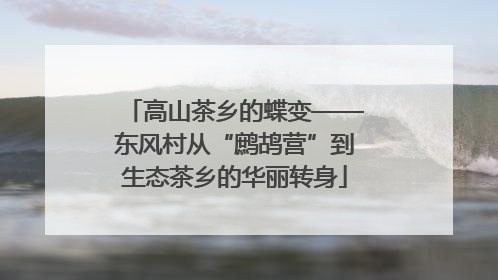 高山茶乡的蝶变——东风村从“鹧鸪营”到生态茶乡的华丽转身