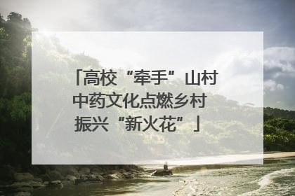 高校“牵手”山村 中药文化点燃乡村振兴“新火花”