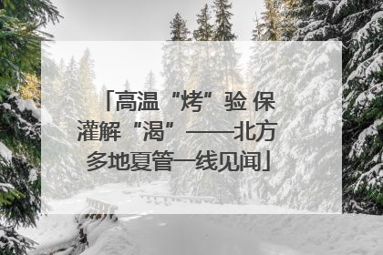 高温“烤”验 保灌解“渴”——北方多地夏管一线见闻