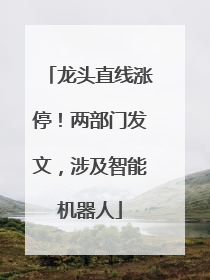 龙头直线涨停！两部门发文，涉及智能机器人
