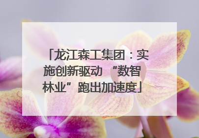 龙江森工集团：实施创新驱动 “数智林业”跑出加速度