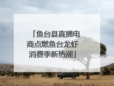 鱼台县直播电商点燃鱼台龙虾消费季新热潮