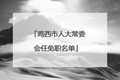 鸡西市人大常委会任免职名单