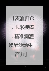 麦浪归仓，玉米接棒，精准滴灌唤醒沙地生产力