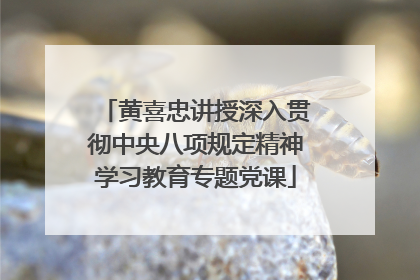 黄喜忠讲授深入贯彻中央八项规定精神学习教育专题党课